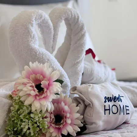 Sweet Oasis Parque T3 Apartment *